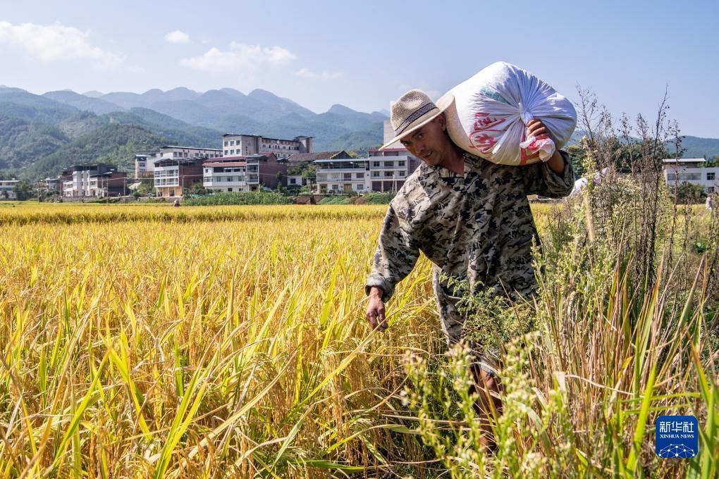大西洋老虎机登陆平台
